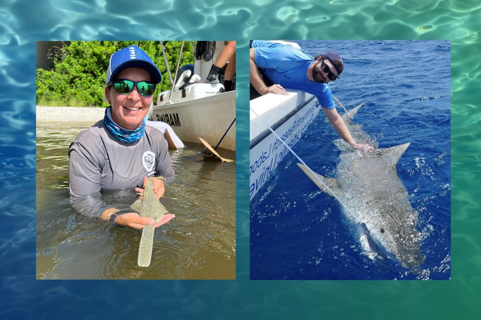 Two Science Graduate Students Named Inaugural Recipients of Guy Harvey Fellowship for Marine Science Research